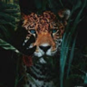 Meet your Posher, Lesley